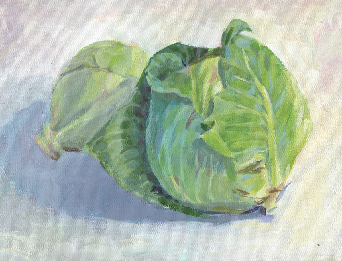 Green Cabbage 