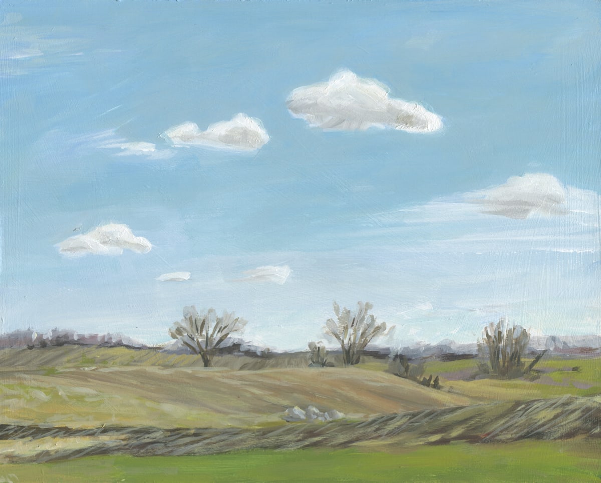 Spring Fields 