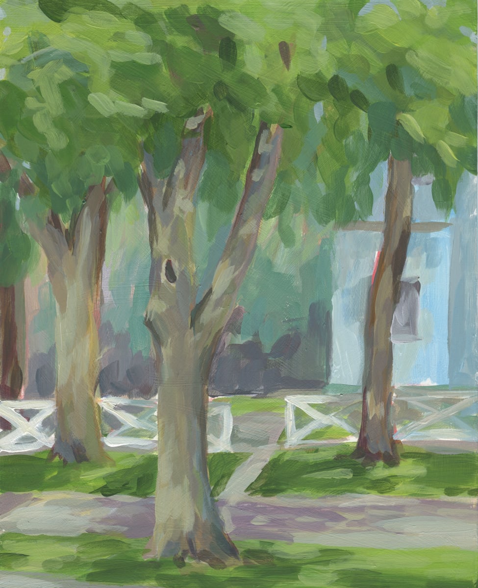 Backyard in August 