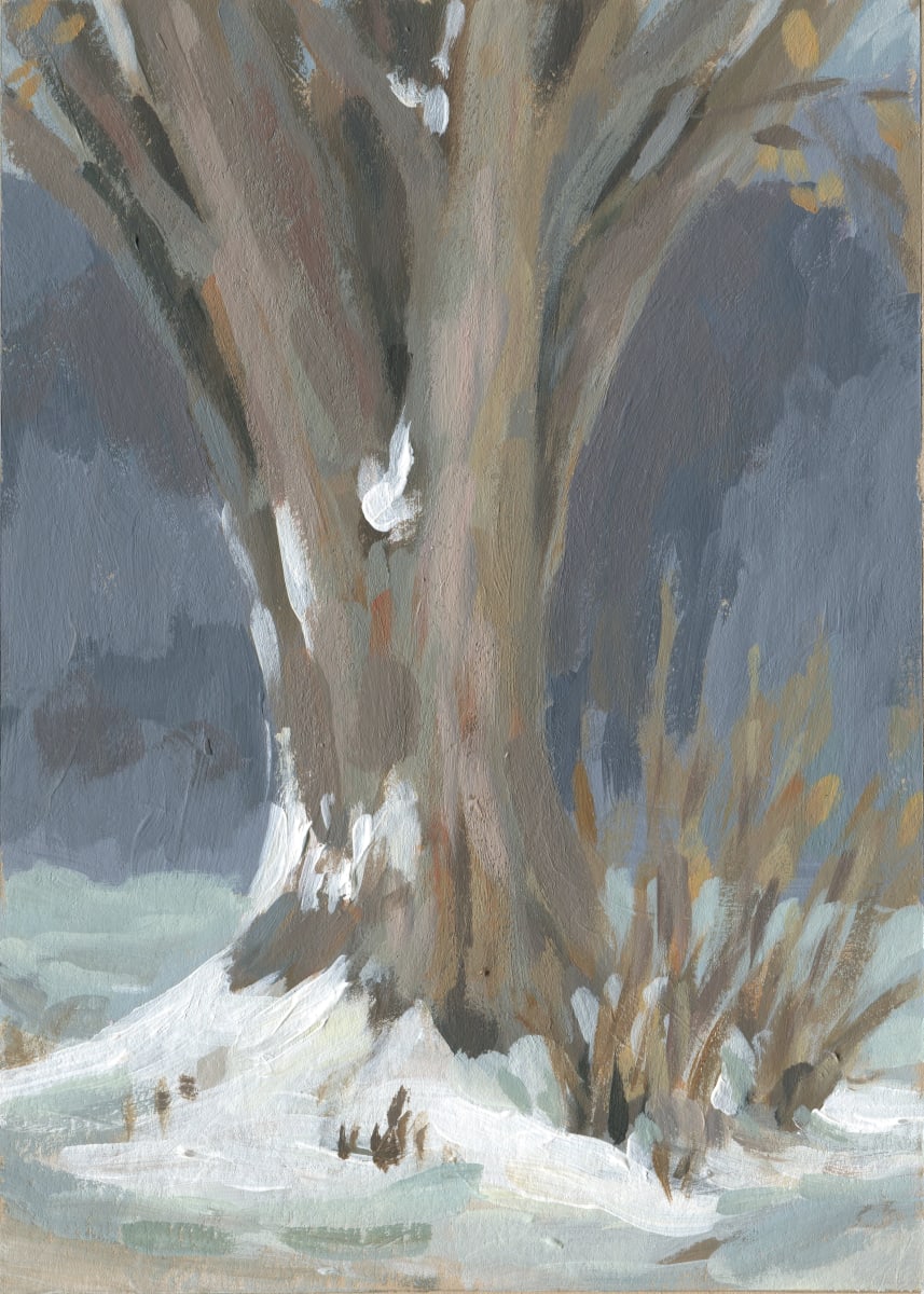 Winter Silver Maple by Carrie Arnold 