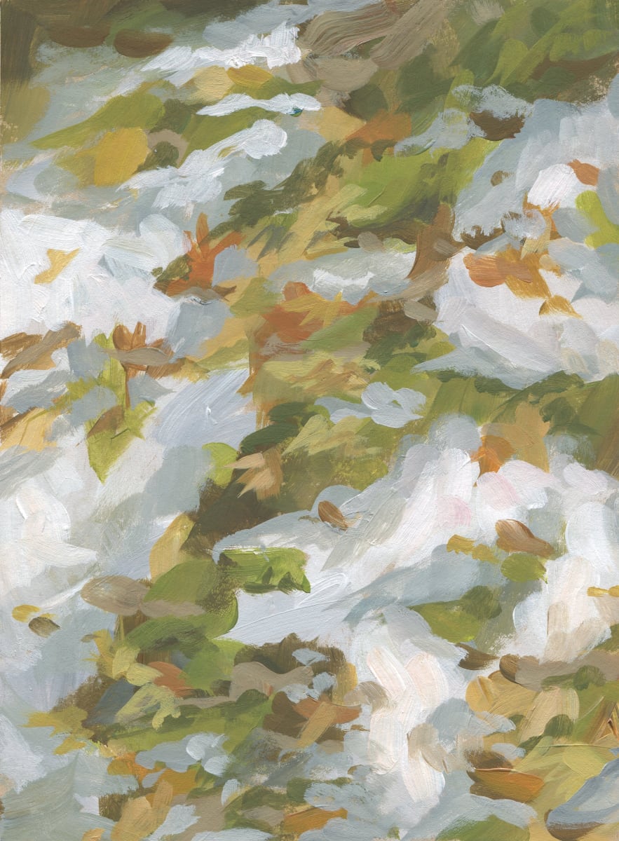 March Lawn by Carrie Arnold 
