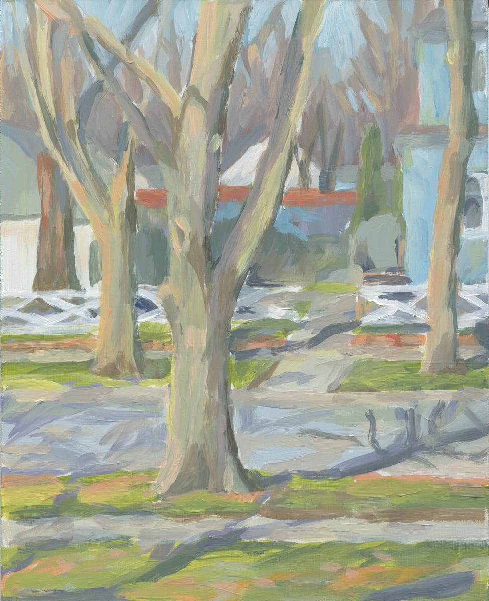 Backyard in April 