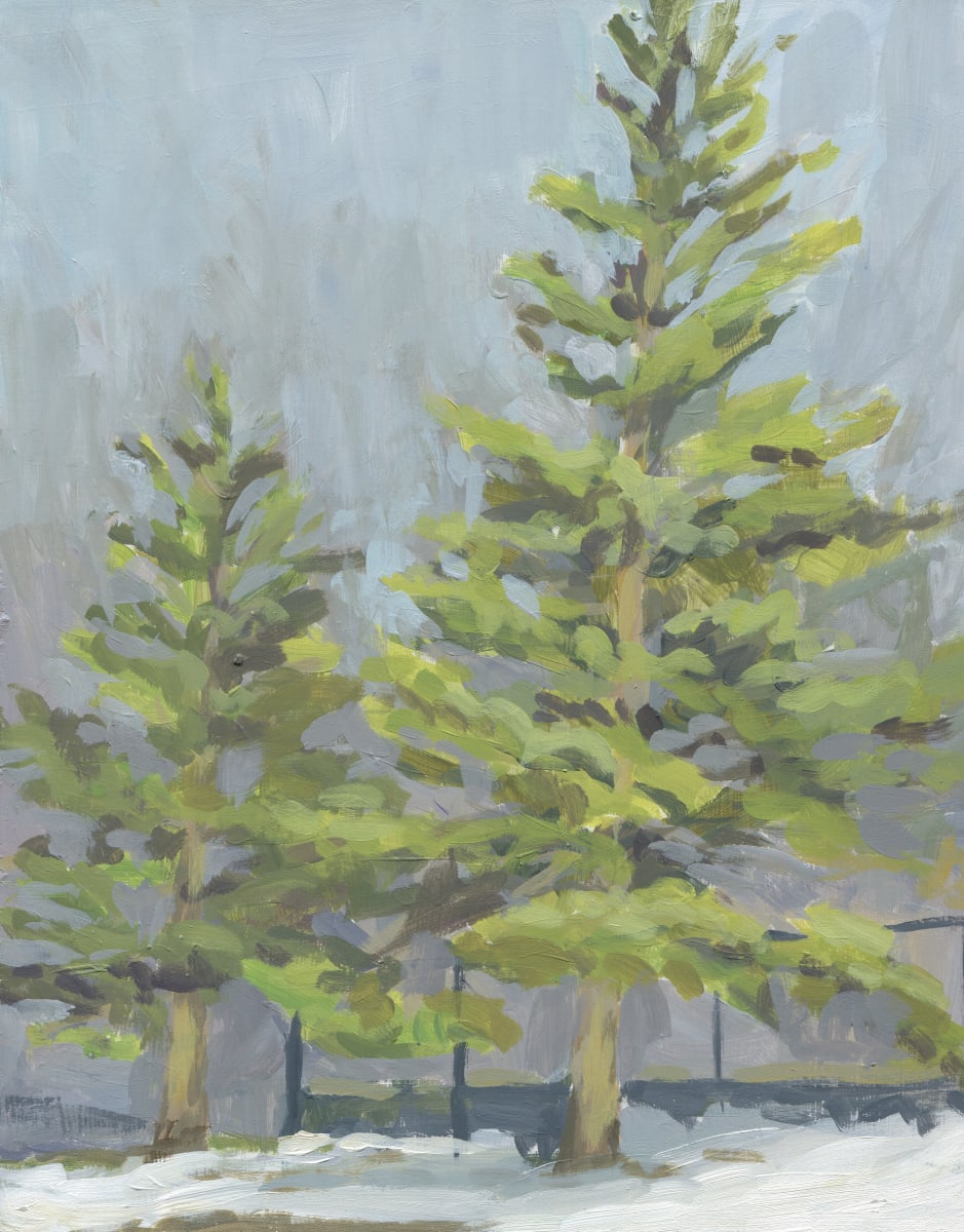 Evergreen Trees Plein Air 