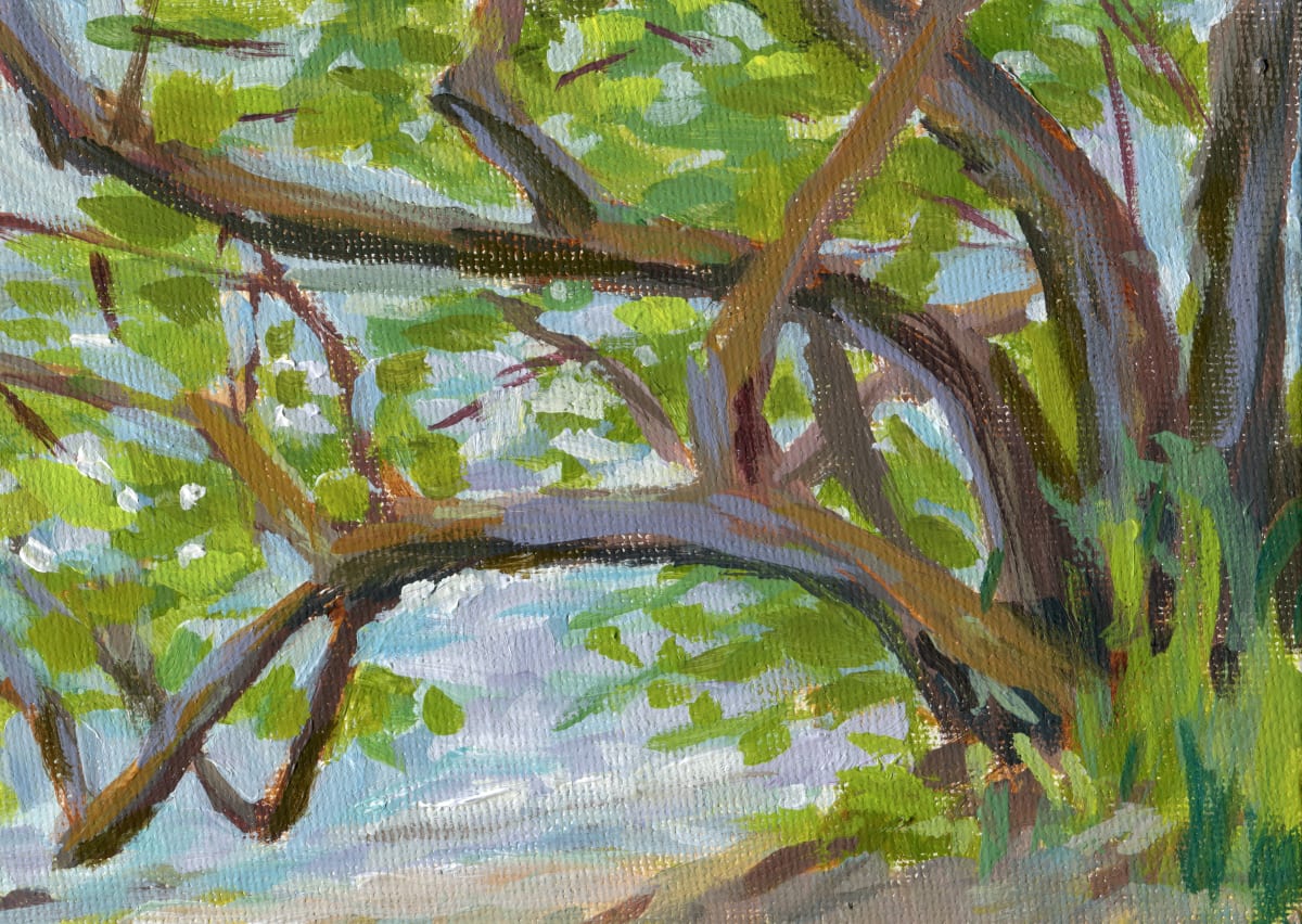 Basswood Over Lake Bemidji 