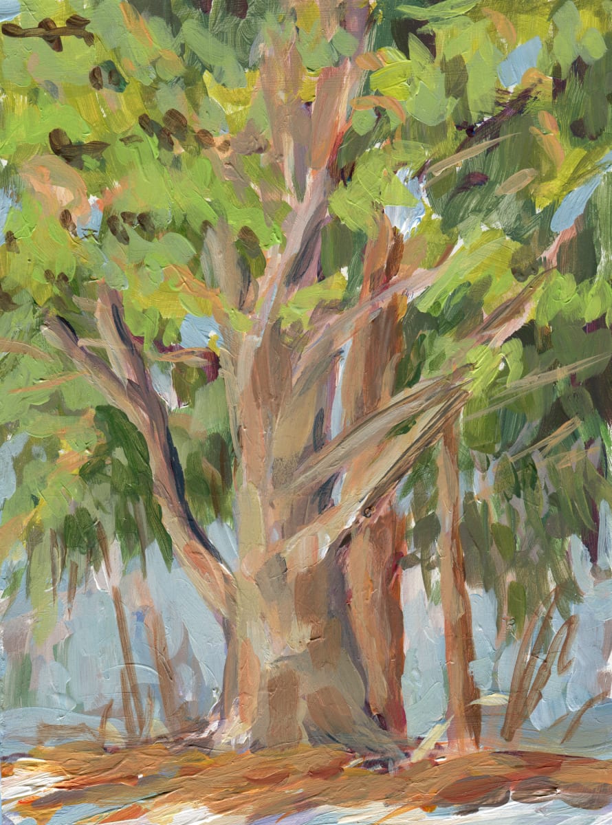 Backyard White Pine by Carrie Arnold 