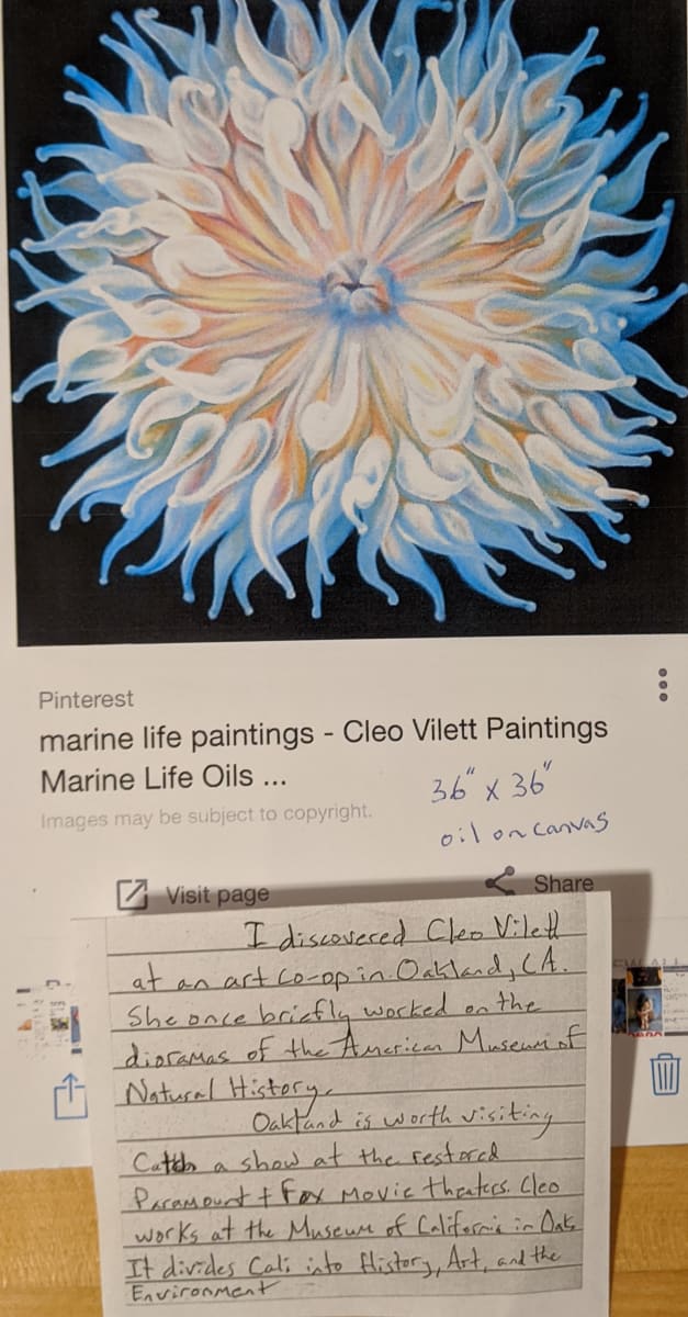 Giant Anenome -notes by Cleo Vilett 