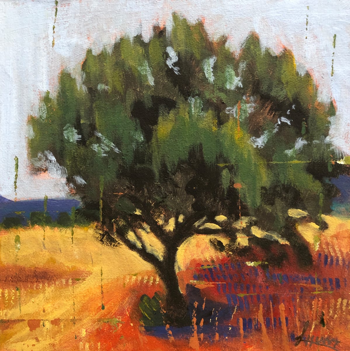 Alligator Juniper by Laura Hunt, Image 1.