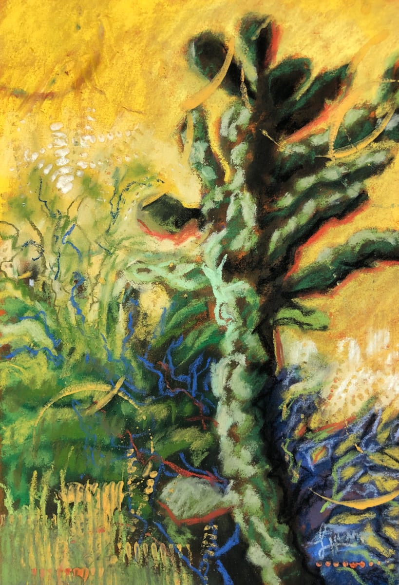Tree Cholla by Laura Hunt, Image 1.