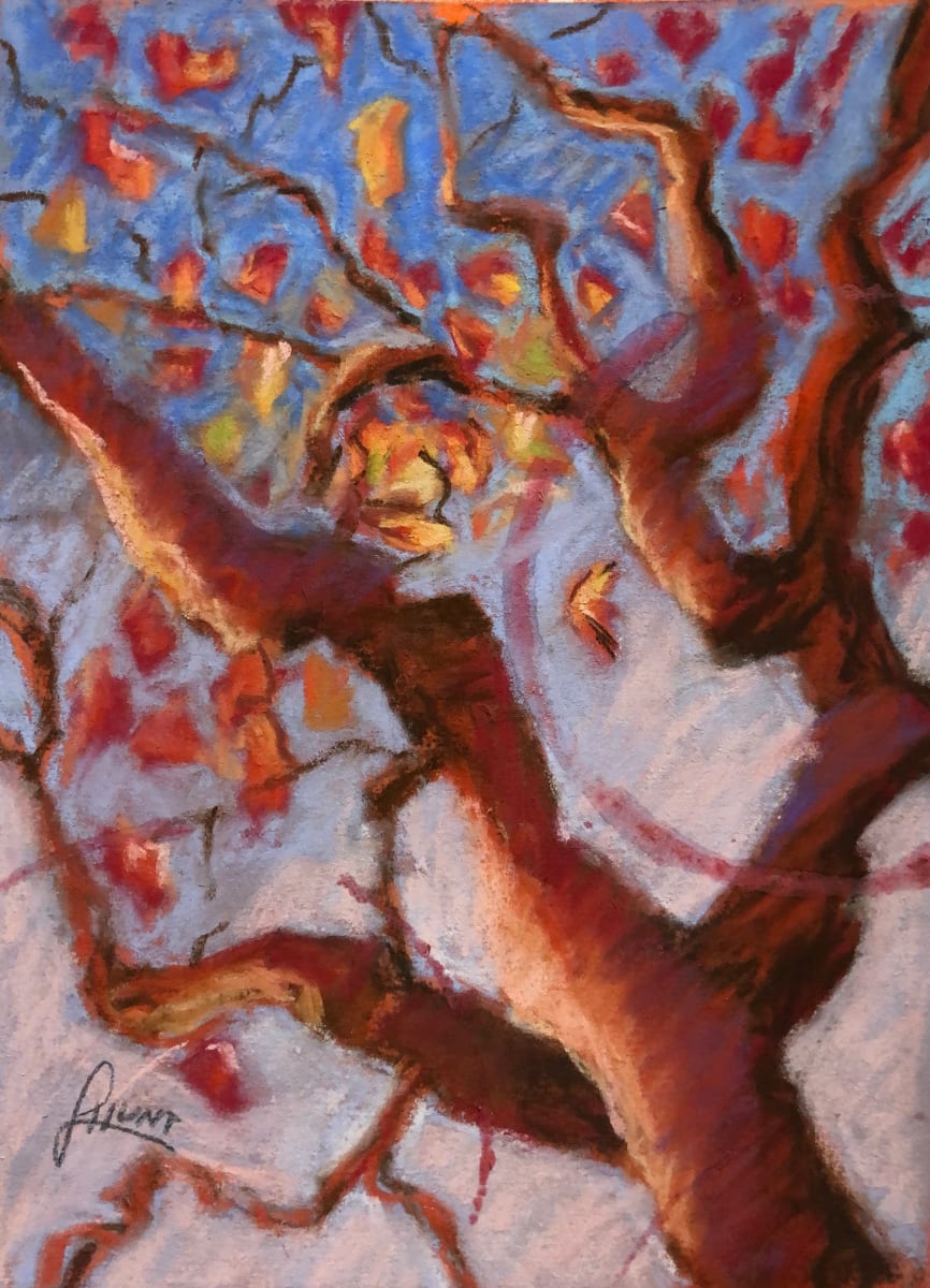 Looking Up by Laura Hunt 