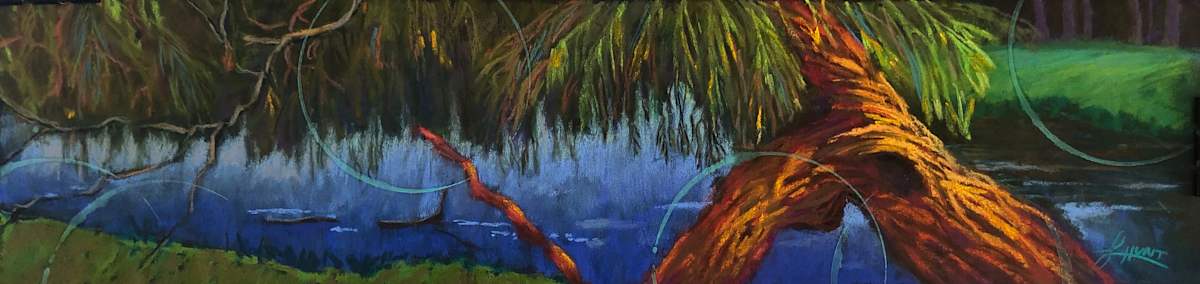 Old Willow by Laura Hunt, Image 1.