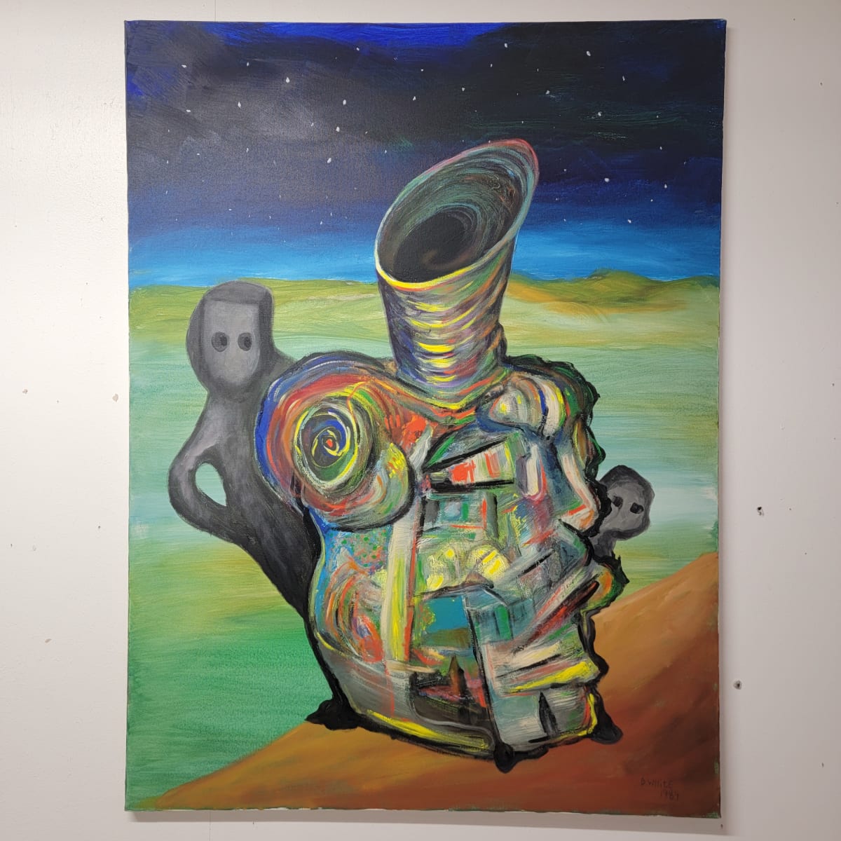 Peekaboo Hide and Seek by David White 