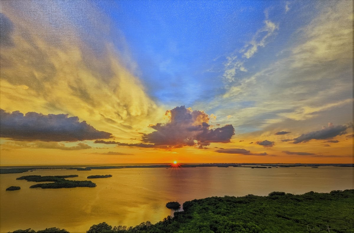 Estero Bay and Breeding Plumage by Dennis Goodman, Image 1.