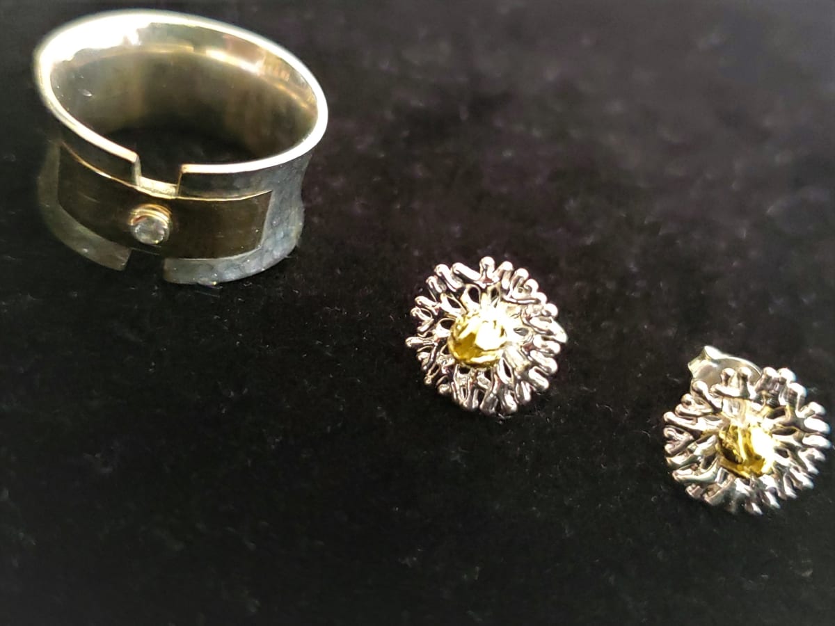 JEWELRY   -   Gold & Silver Ring & Earrings by Michael & Nurit Vagner  Image: Gold & Silver Ring size 6 and Gold/Silver Earrings