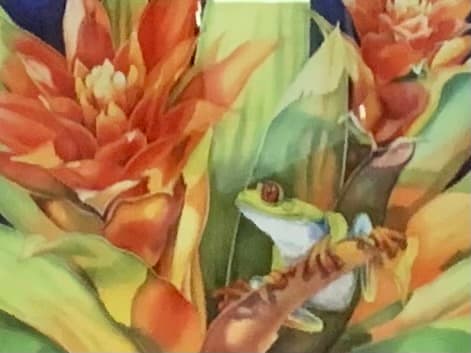Frog and Bromeliads by Lyse Anthony 