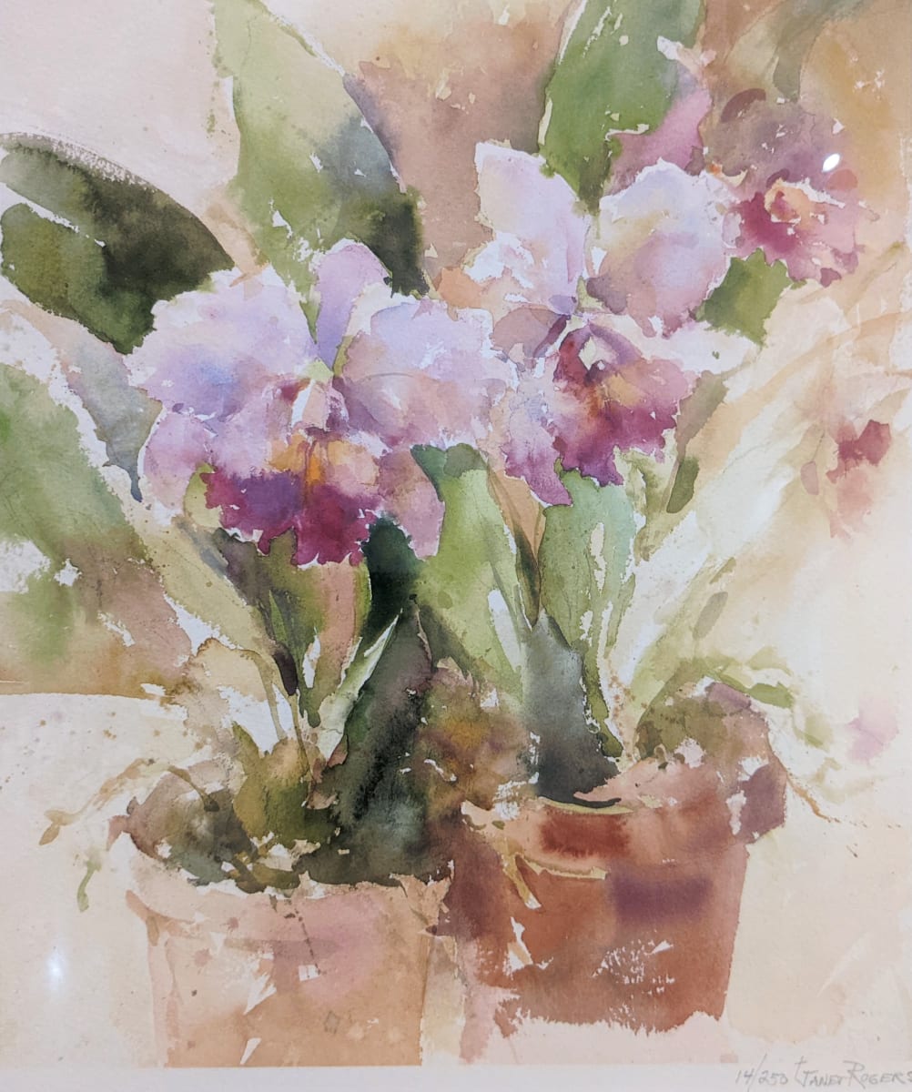 Orchids II by Janet Rogers  Image: Janet Rogers - Orchids II