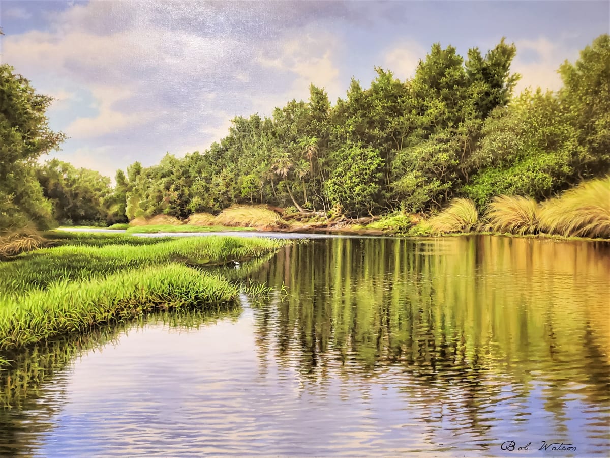 Florida Wetlands by Bob Watson, Image 2.