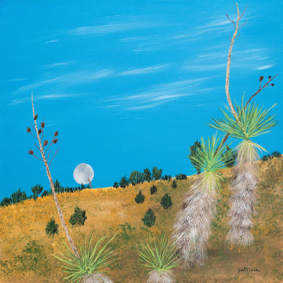 Desert Moon by Patricia Gould 