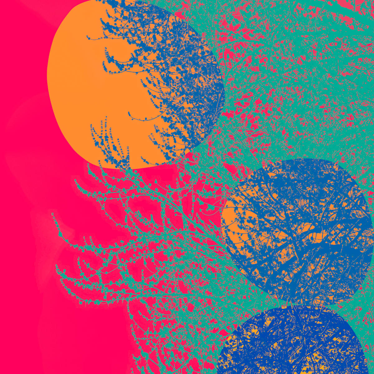 Abstract Pulse by Bogdan Mihai, Image 1.