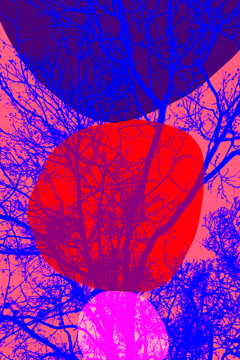 Unstable Symmetry by Bogdan Mihai, Image 1.
