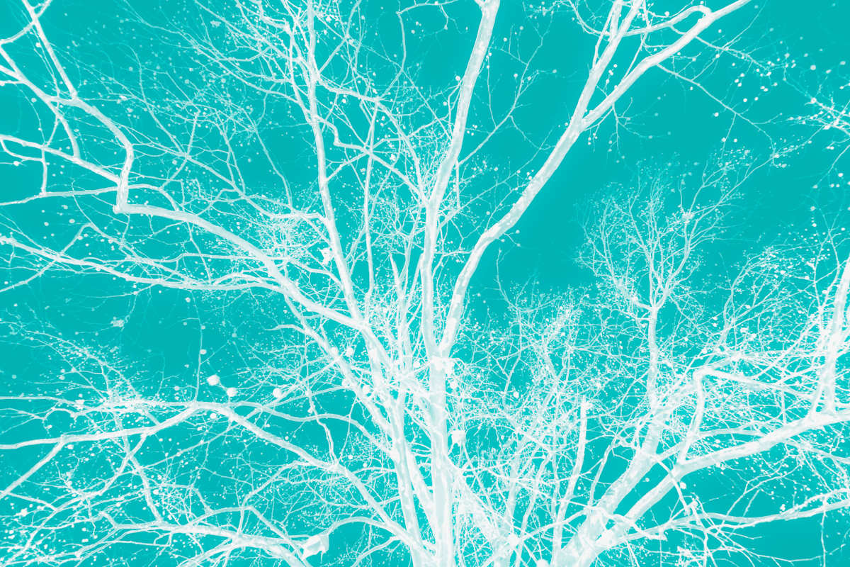 Glowing in the Silence by Bogdan Mihai, Image 1.