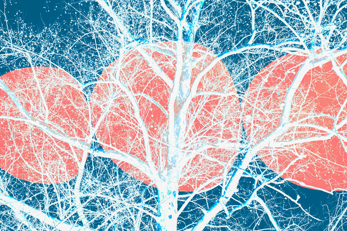 Frosted Balance by Bogdan Mihai, Image 1.