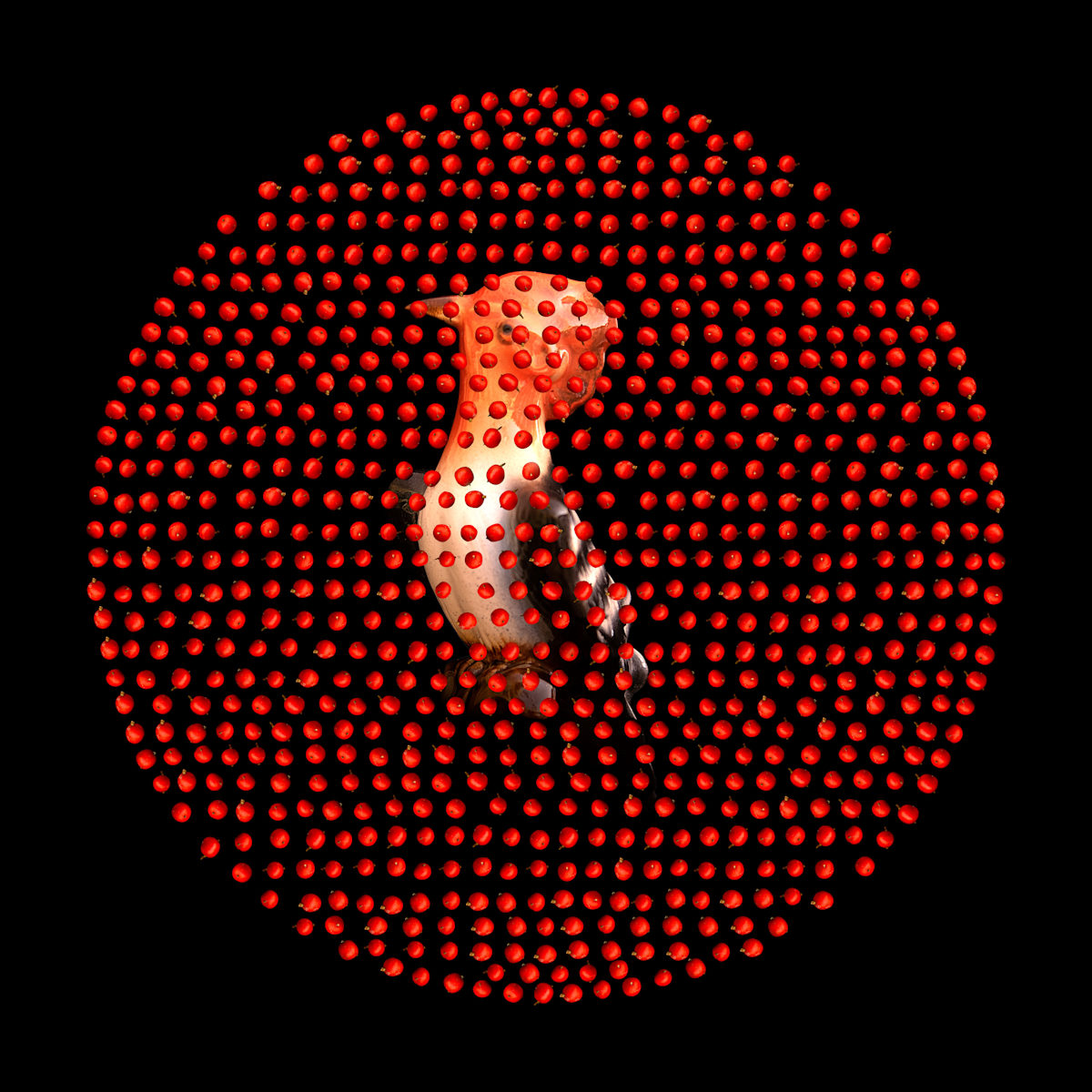 Woodpecker 1/15