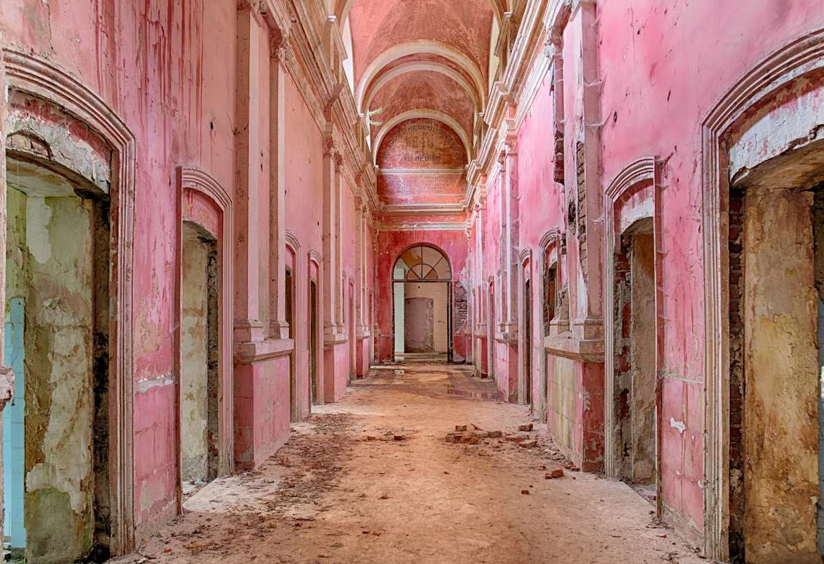 Pink Wing by Bogdan Mihai, Image 2.