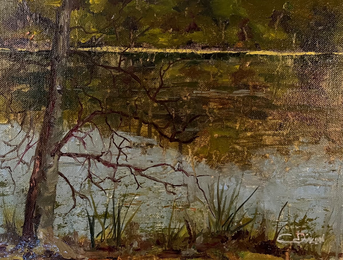 Bays Mountain Lake 