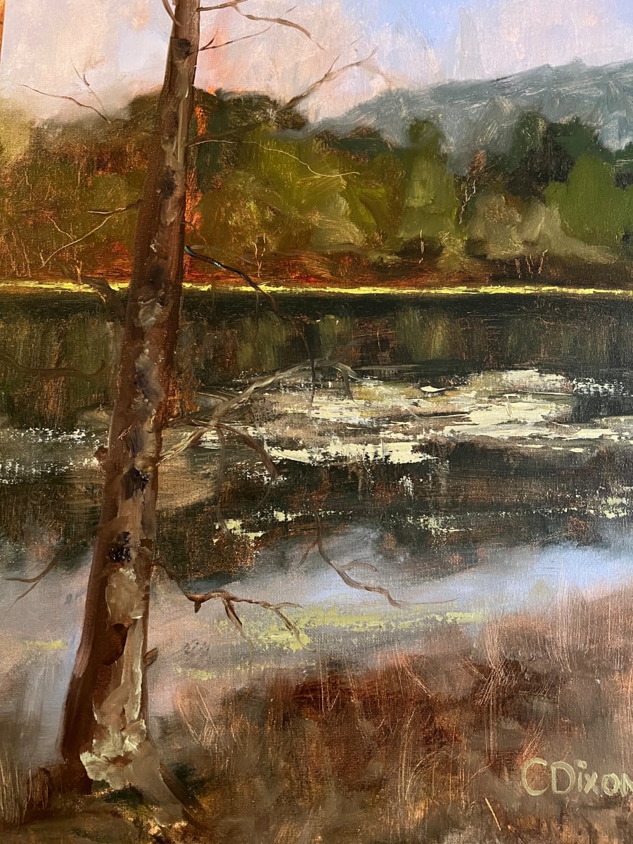 Rainy Lake 