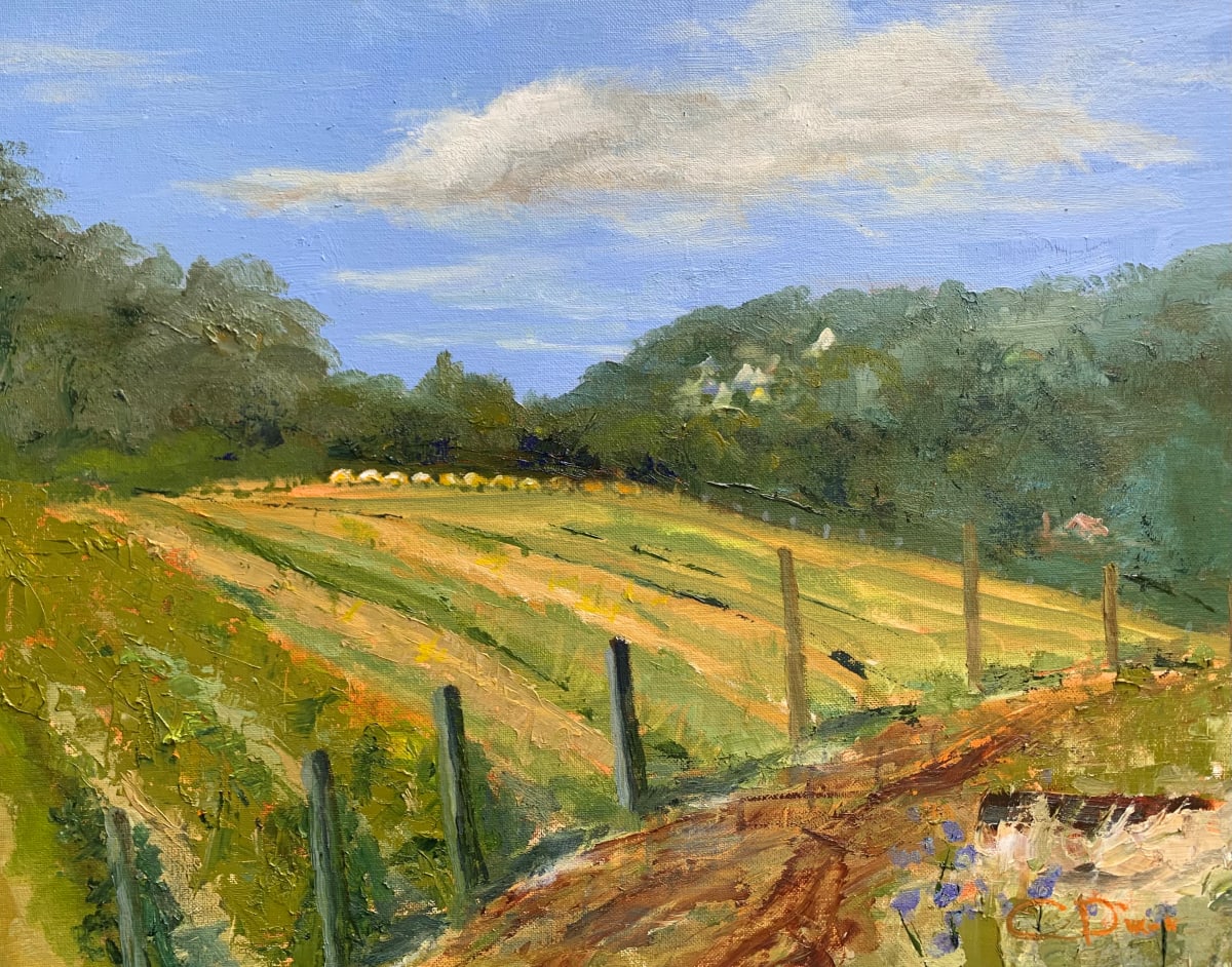 Hay Rolls, Grapes Vine 