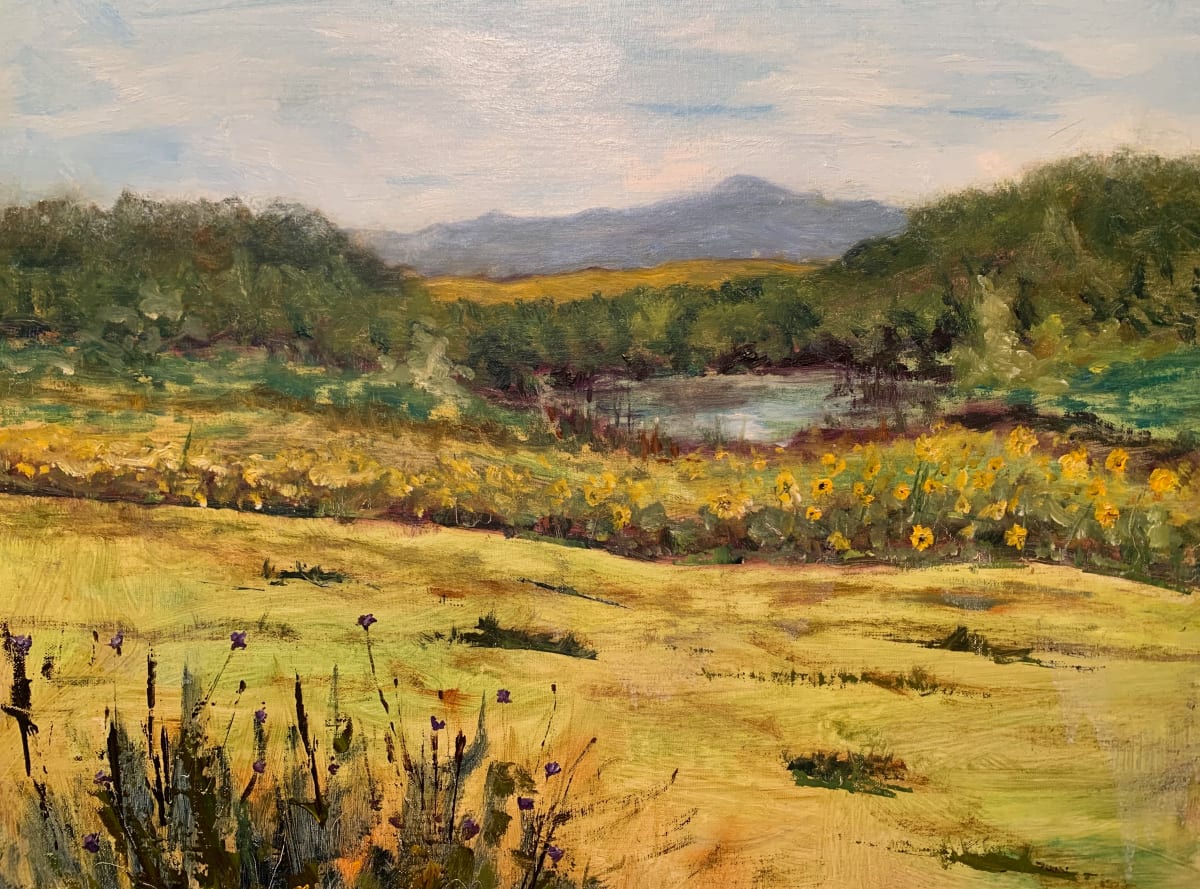 Back Field 