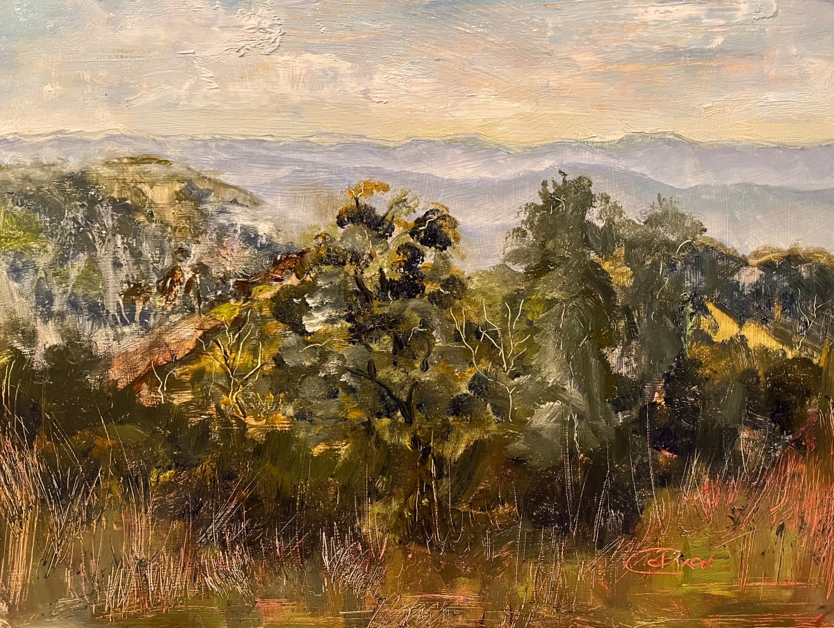 Blue Ridge Summer 