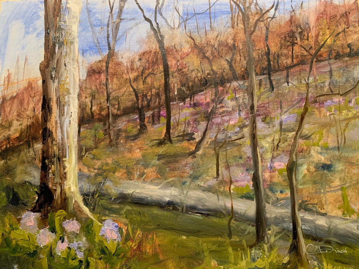 Bluebell Spring, Image 1.