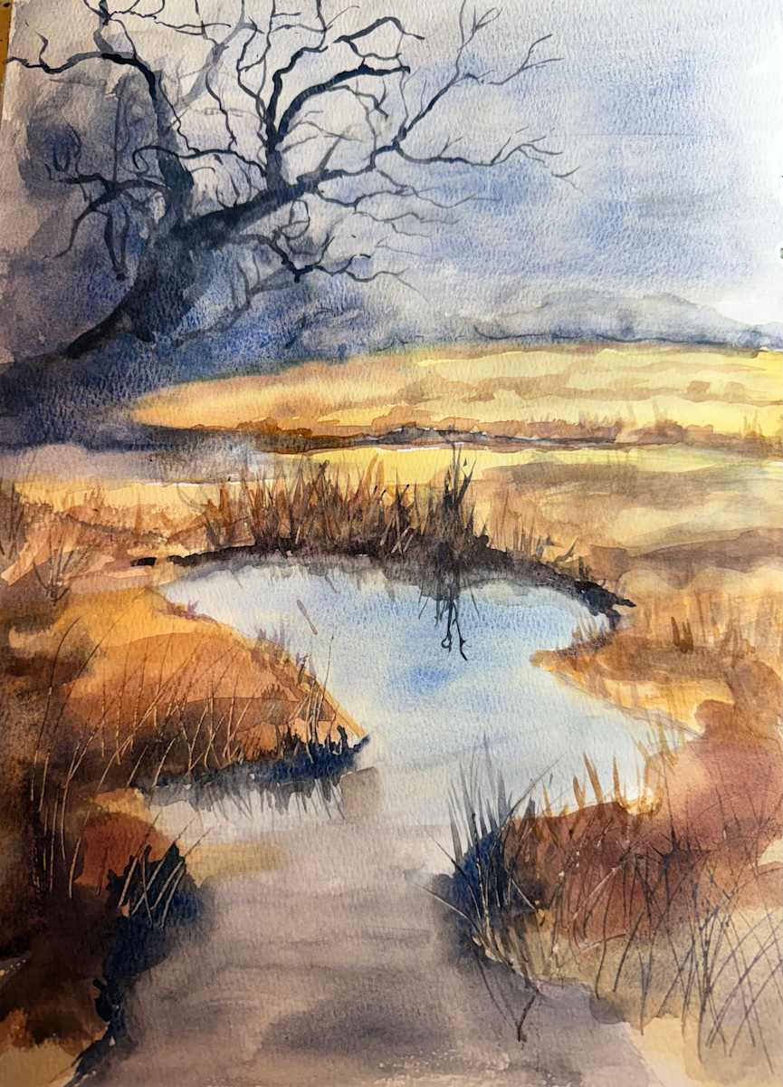 Serenity by Carol Dixon 