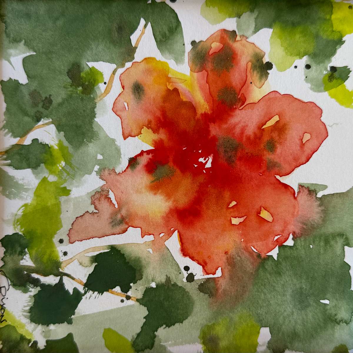 Porch Poppy by Carol Dixon 
