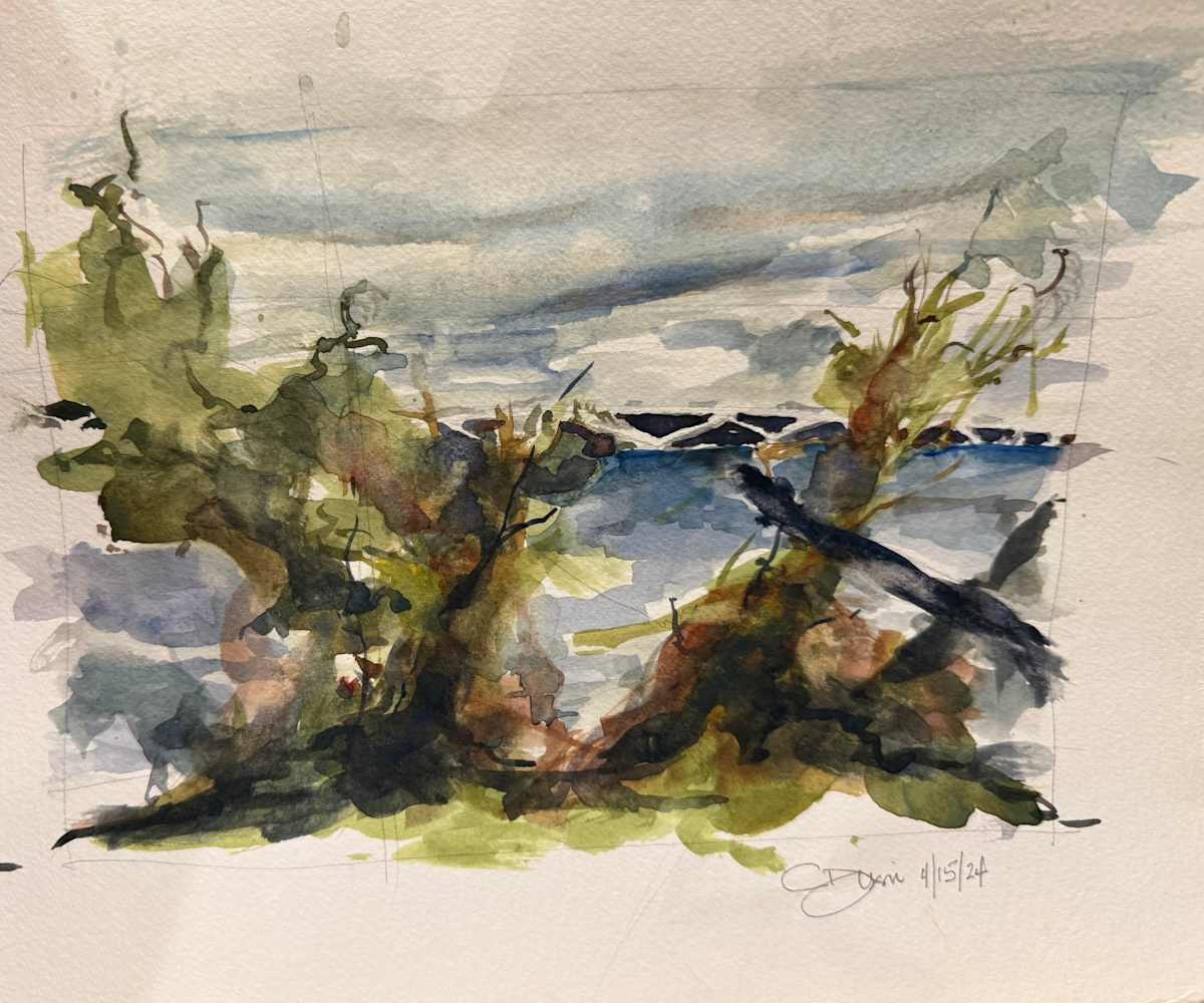 Potomac Storm by Carol Dixon, Image 1.