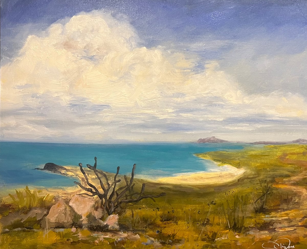 Mexican Summer by Carol Dixon 