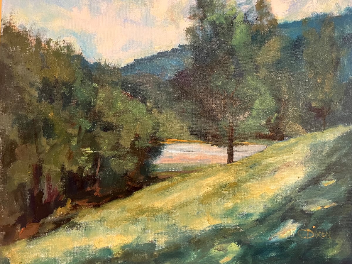 Lakeside Shade 