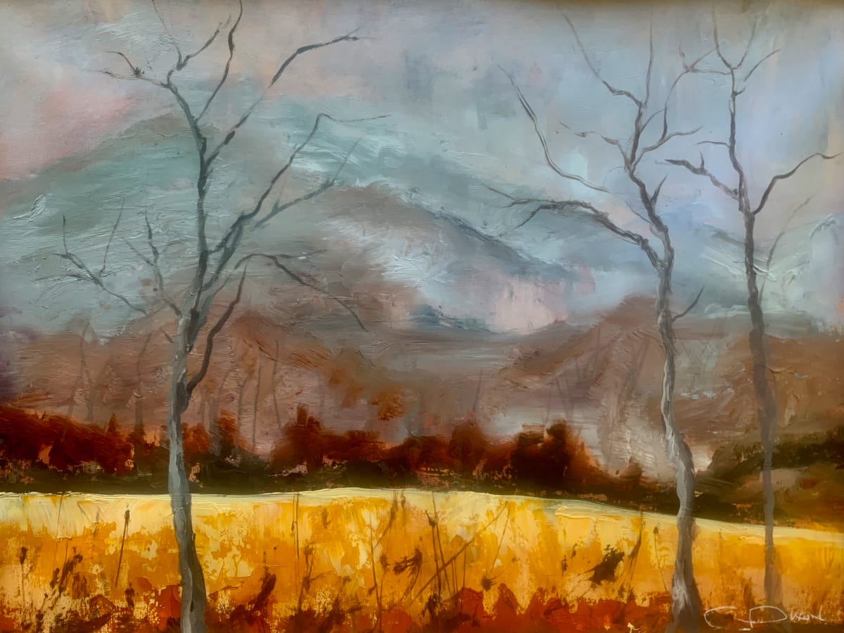 Moody Mountains 