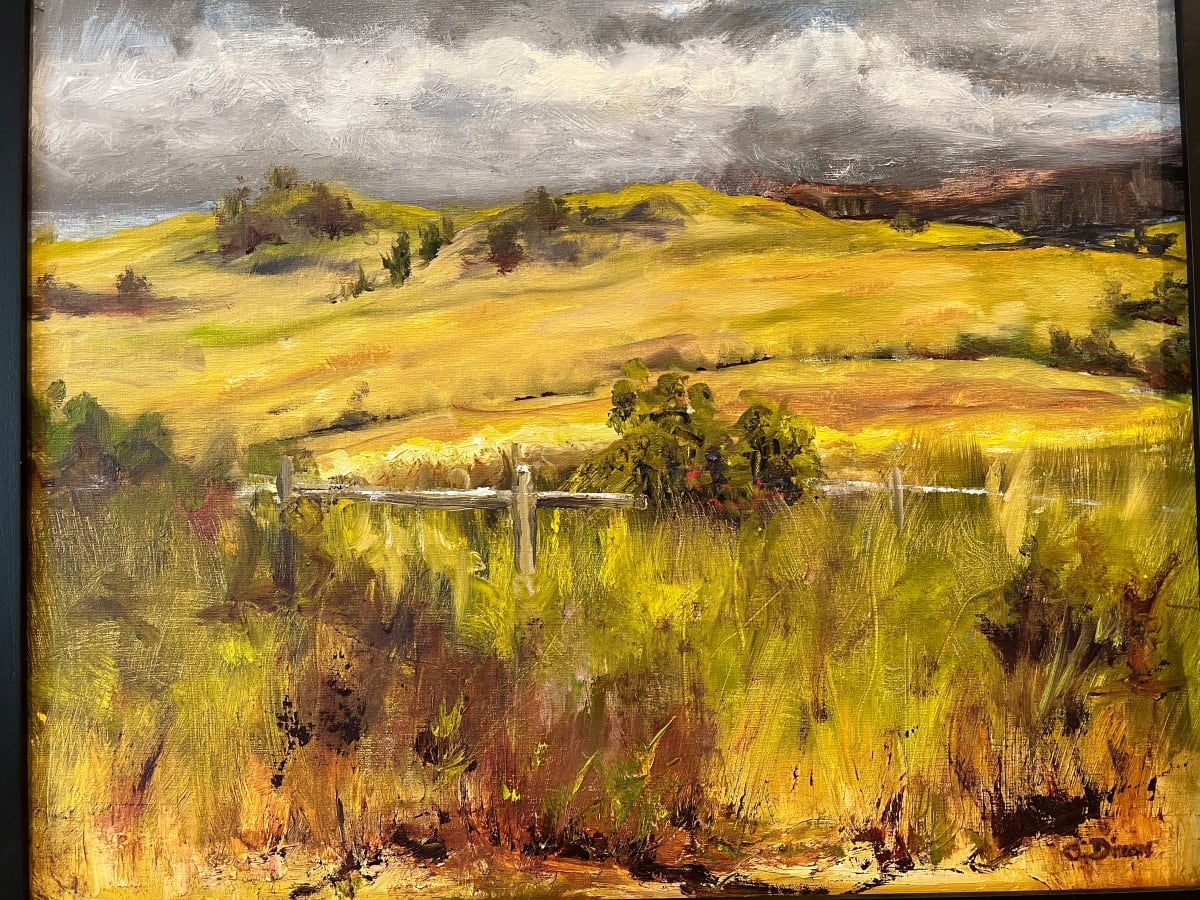 Oprah's Land 