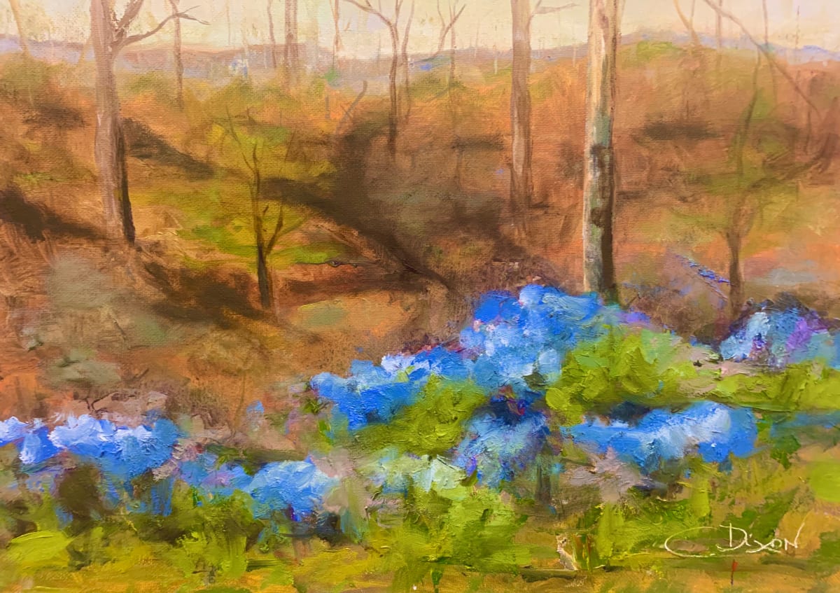 Spring Bluebells, Image 1.
