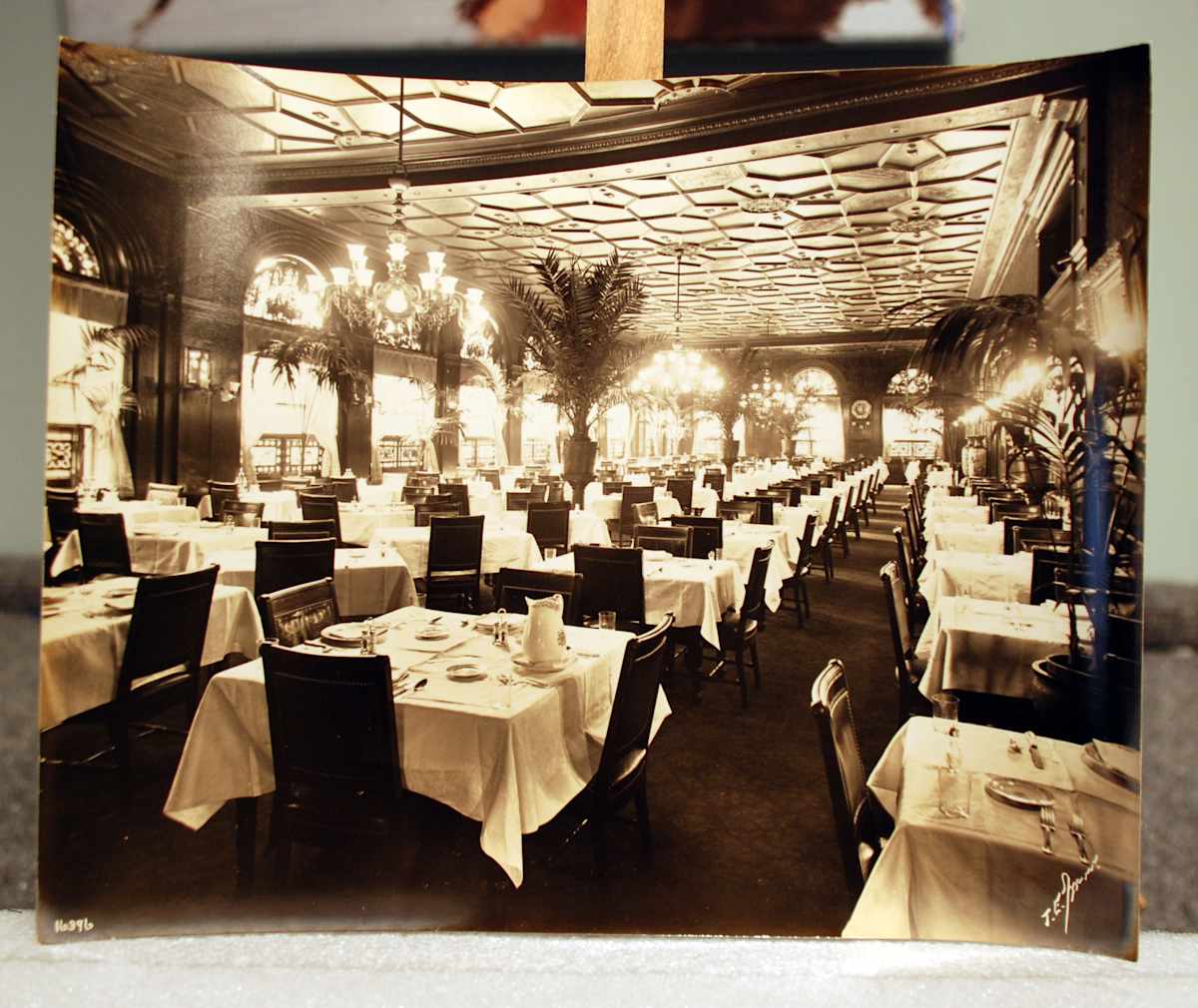 Youngs Hotel, Boston - Ladies Dining Hall -16396 by T.E. Marr, Image 3.