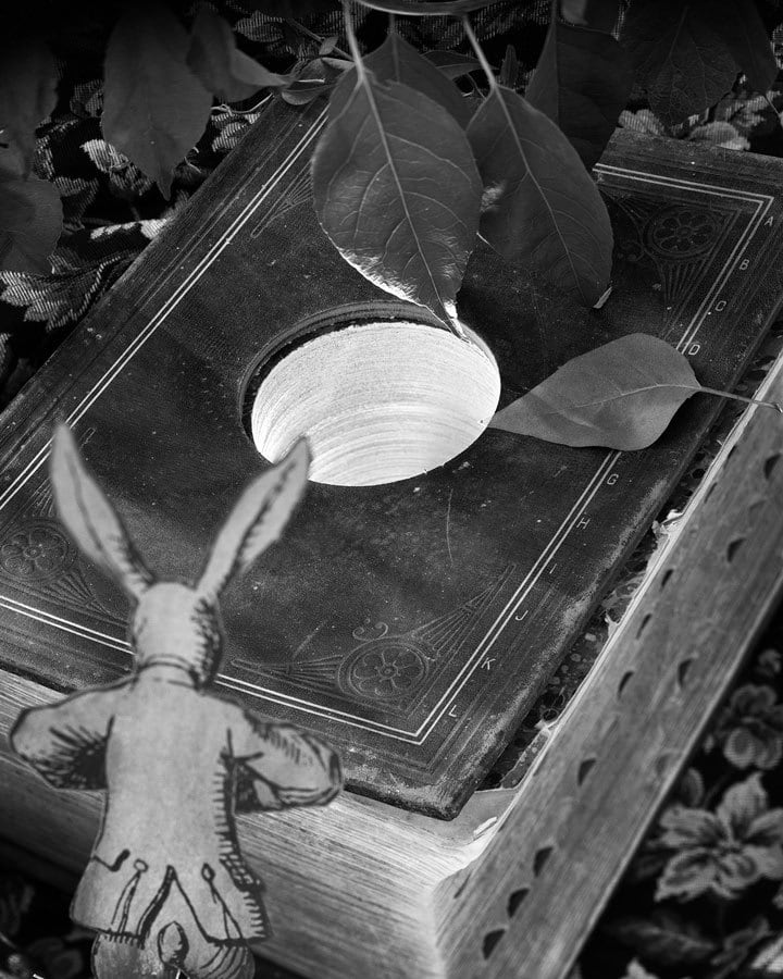 Down the Rabbit Hole by Abelardo Morell 