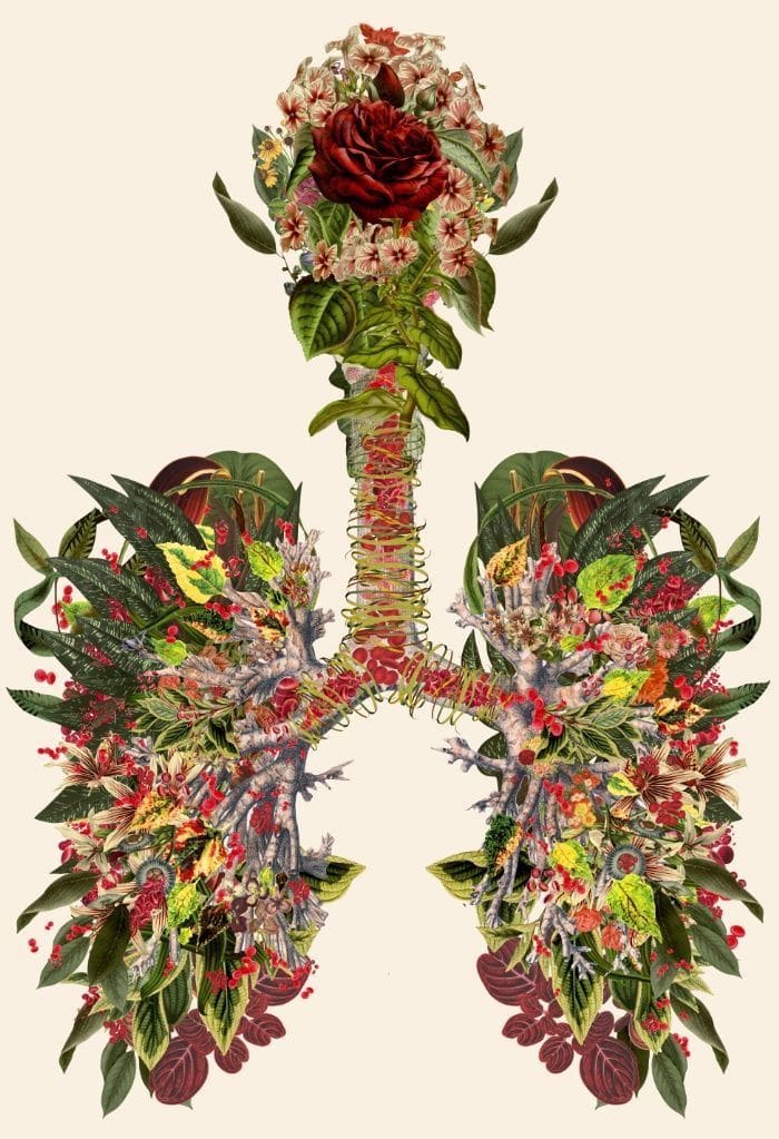 Just Breathe Remix by Travis Bedel, Image 1.