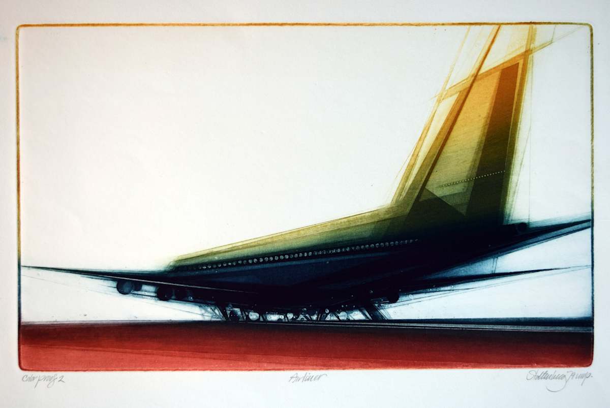 Airliner by Donald Stoltenberg, Image 4.