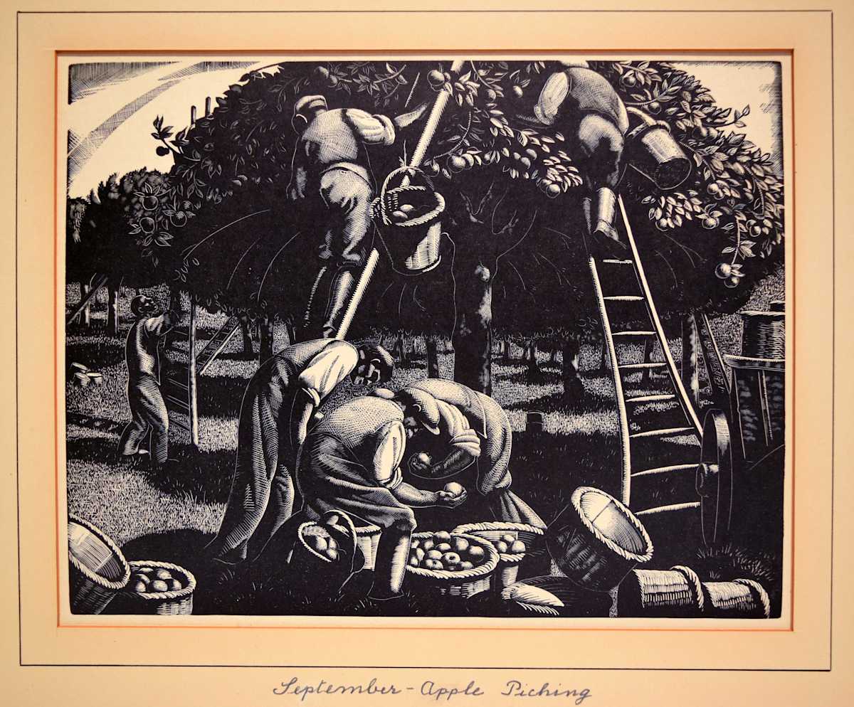September - Apple Picking by Clare Leighton, Image 1.