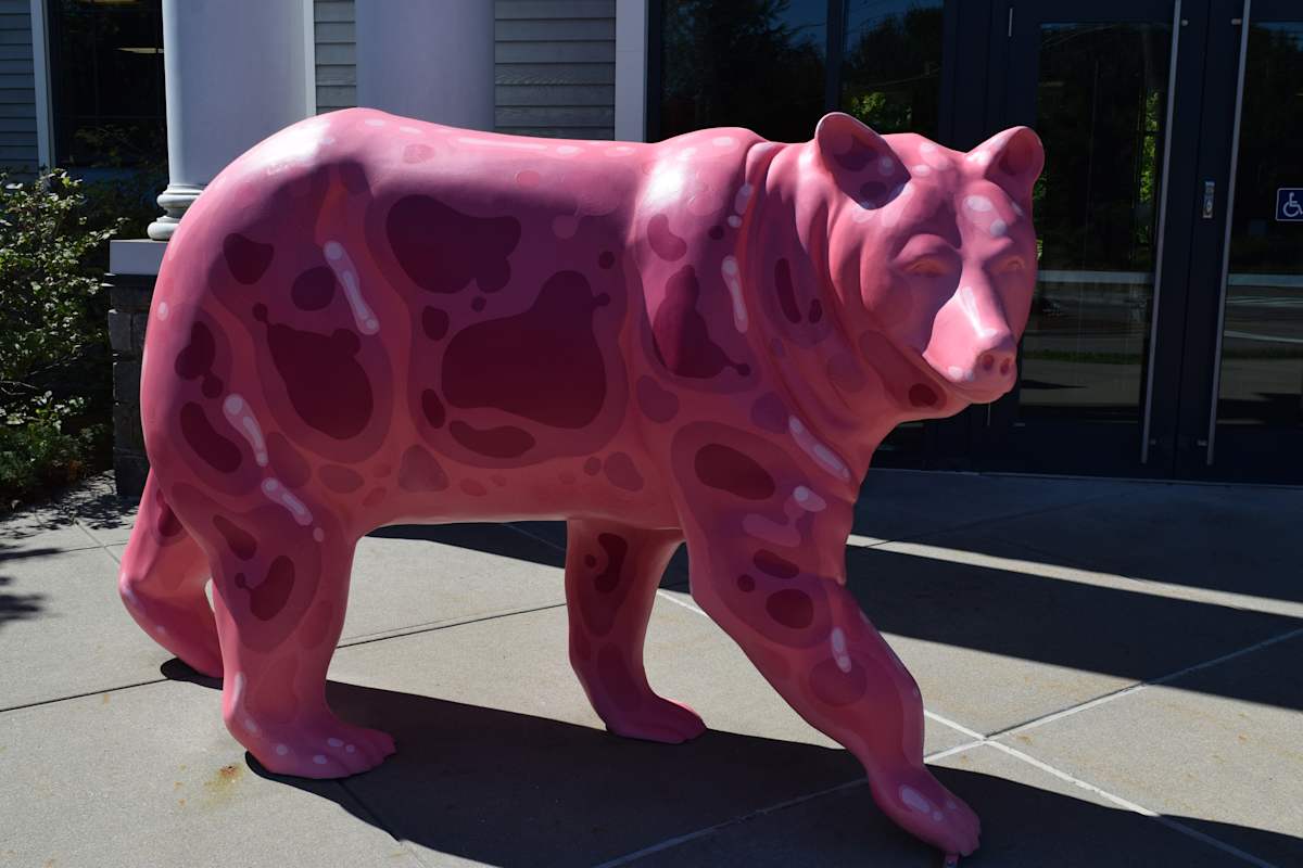 Gummy Bear by Forrest Bailey  Image: Gummy Bear by Forrest Bailey