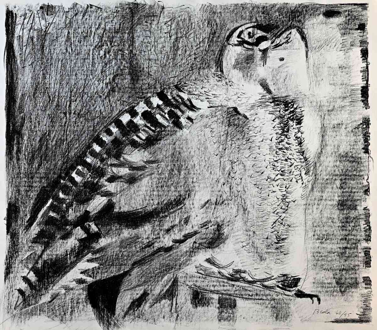 Owl by Janice Biala, Image 2.