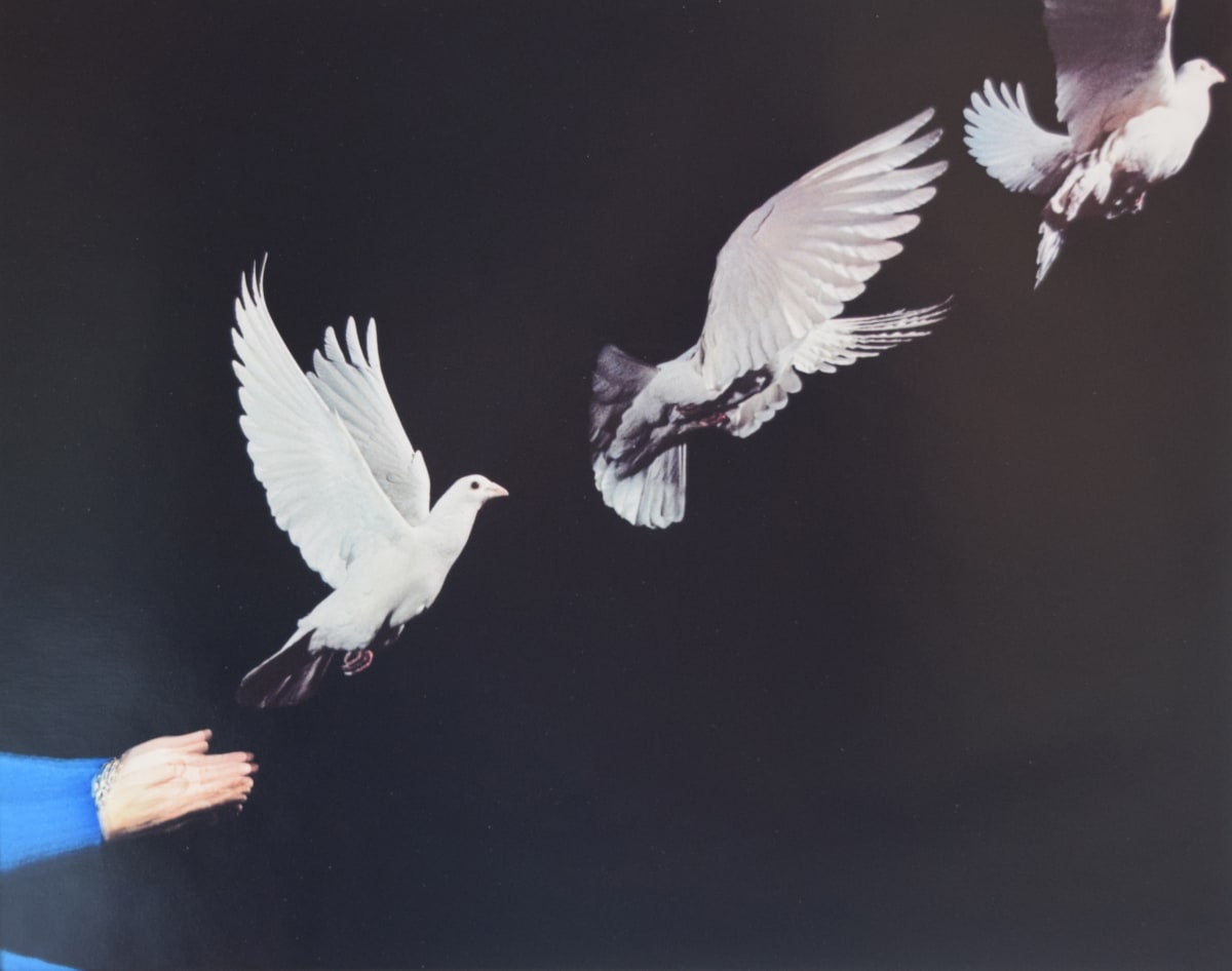 Dove release by Harold Edgerton 