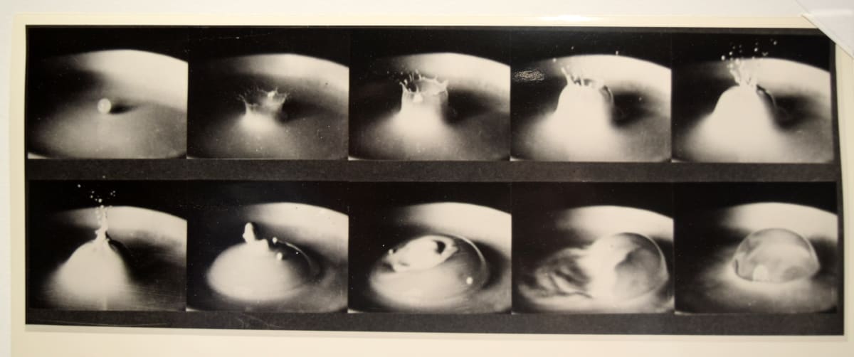 Milk Droplet by Harold Edgerton 